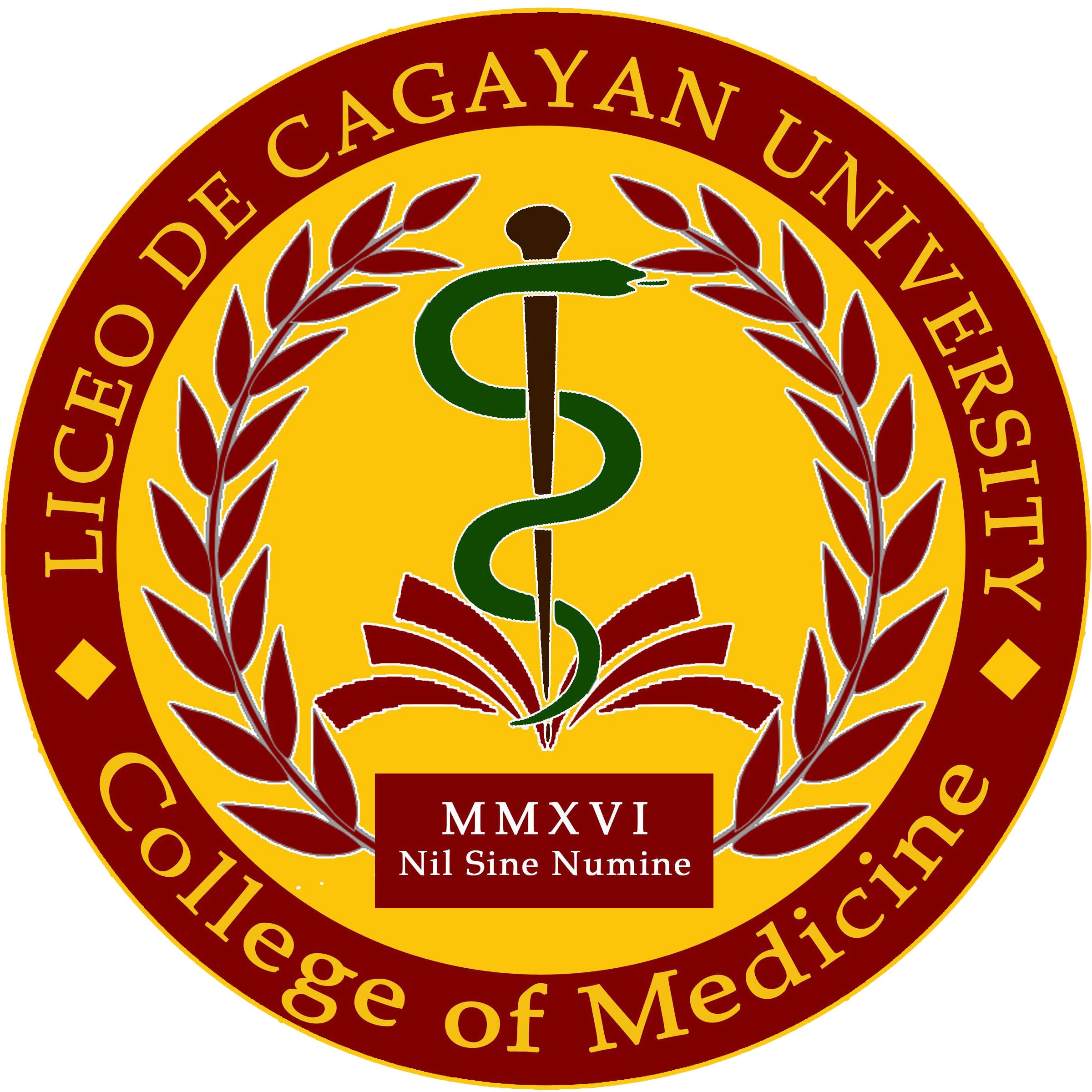 Liceo de Cagayan University